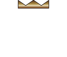 D-SHOCK